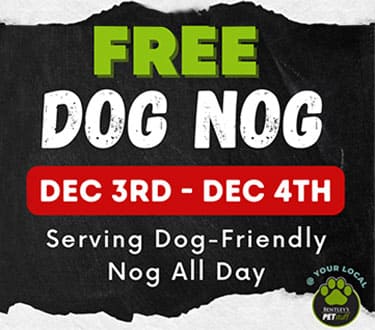 Dog Nog Social