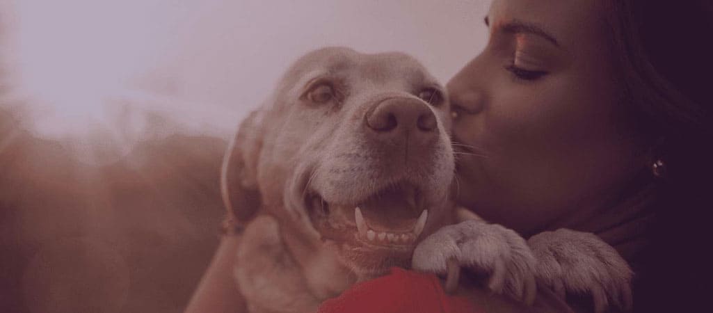 Zignature dog and mom hugging