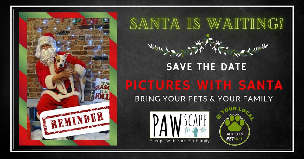 Save the date pictures with santa