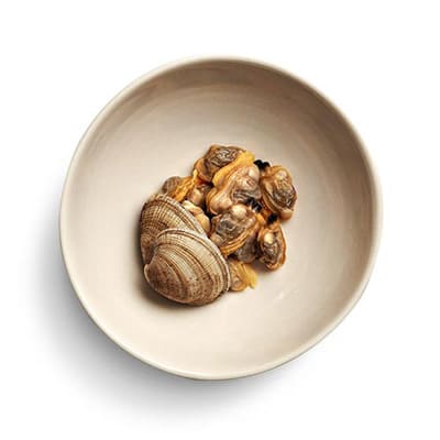 Clams on a plate