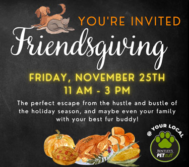 Pet Friendly Friendsgiving