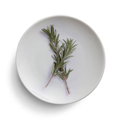 Rosemary on a plate