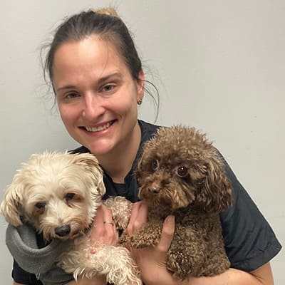 Bentley's petstuff groomer Suzy from Downers Grove