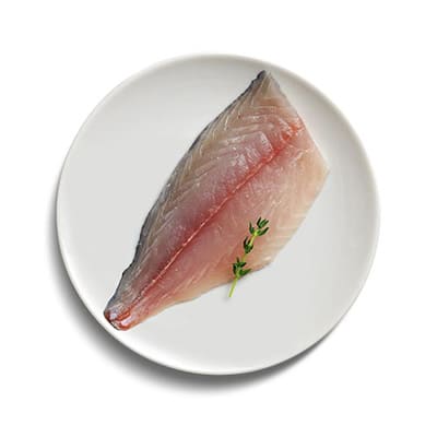 Thread fin bream fish on plate