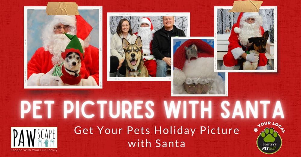 Pet pictures with santa