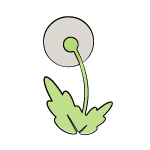 Herbsmith allergy defense icon