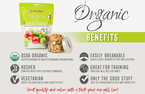 Organic benefits of dog treats infographic