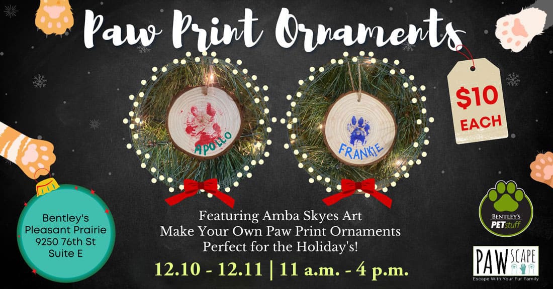 Make your own pet ornament event