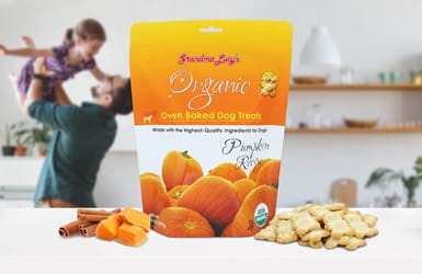 Organic dog treats oven baked pumpkin flavor