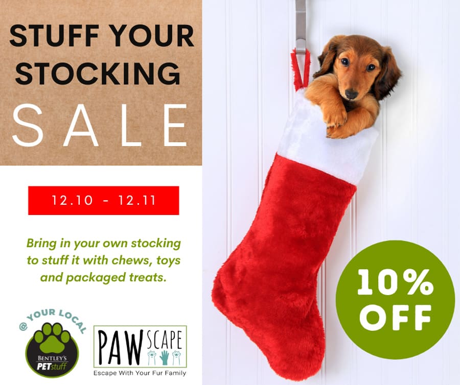 Stuff Your Stocking Sale