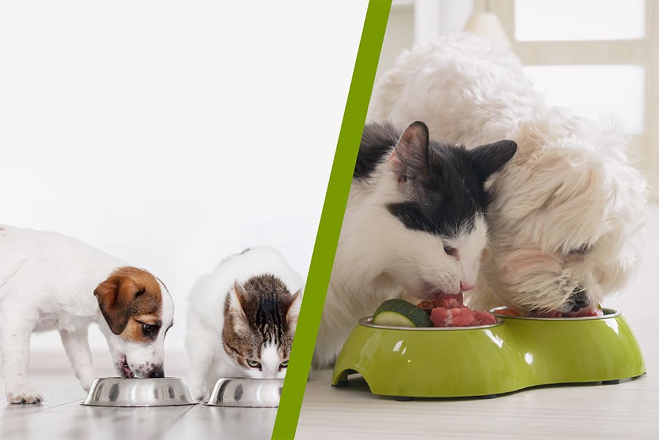 microencapsulation and micropelletization manufacturer microencapsulation and micropelletization manufacturer