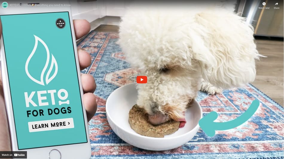 Bones and co pet foods learn more video image