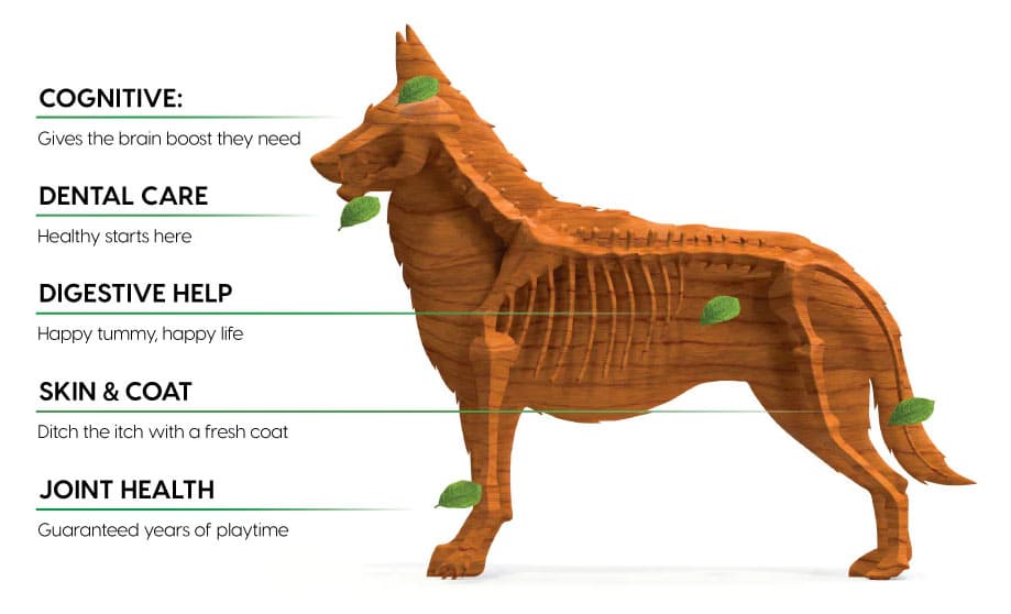 Ark naturals tooth to nail healthy infographic