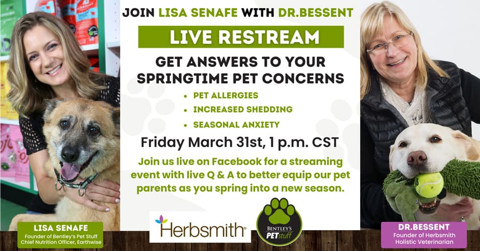 Facebook Live Event with Lisa Senafe and Dr. Bessent