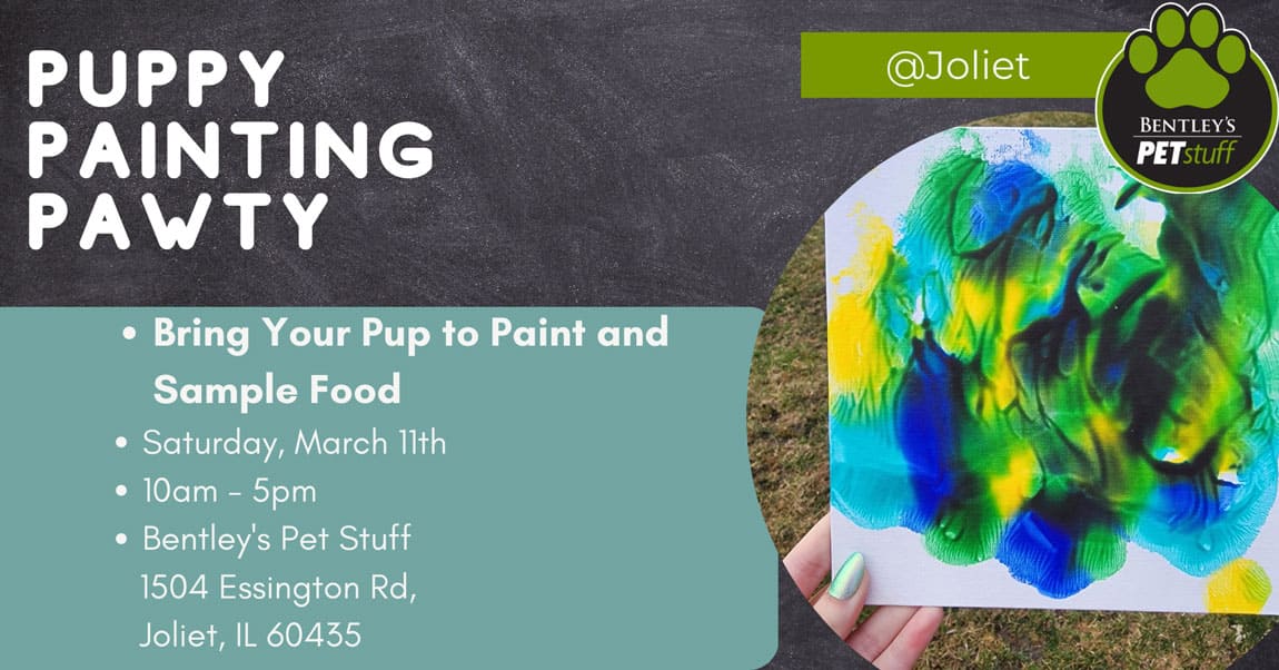 Puppy Painting Pawty