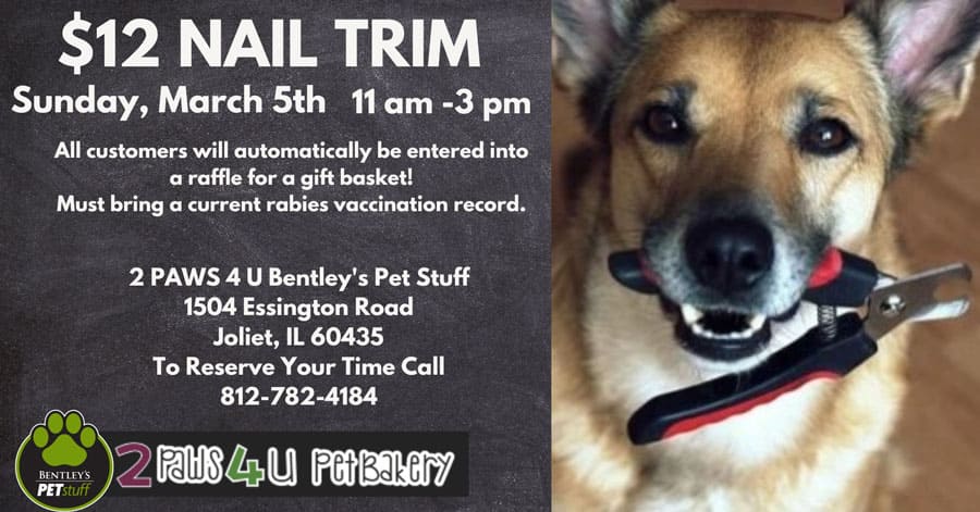 $12 Nail Trim | March 5th