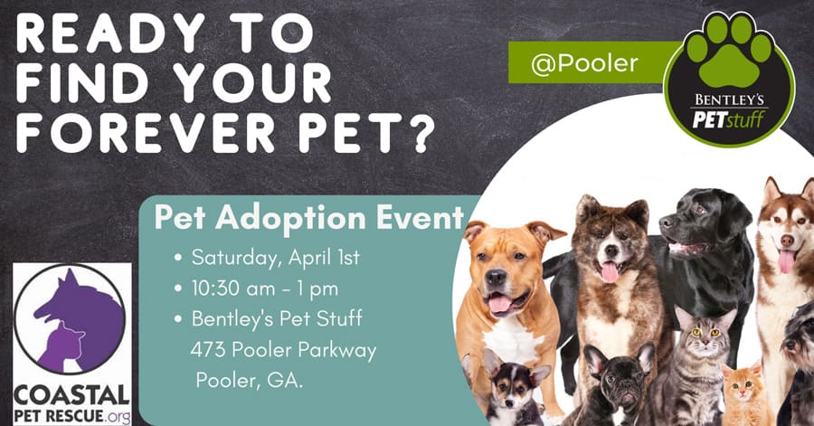 Bentley’s Pet Adoption Event with Coastal Pet Rescue