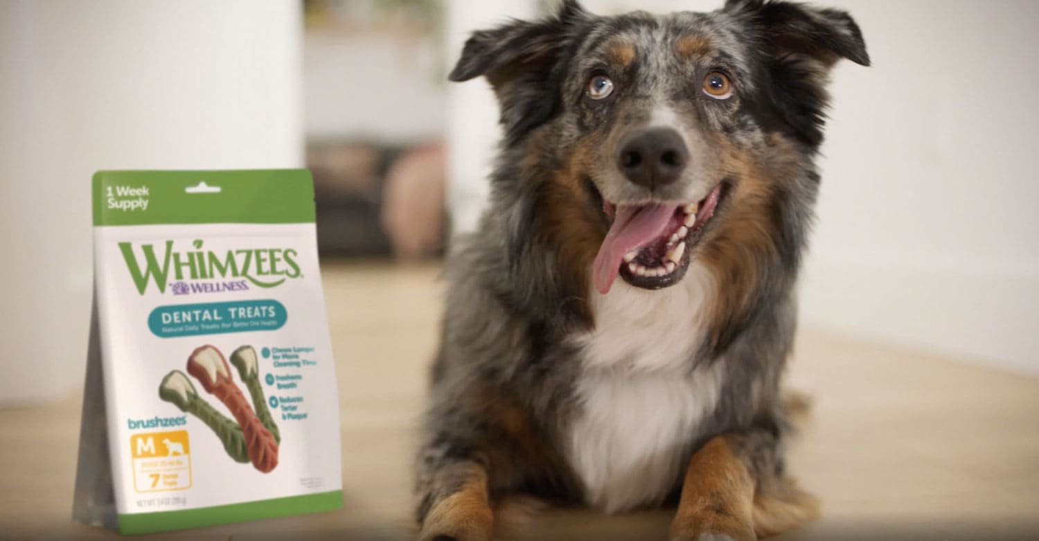 Whimzees dental treats video