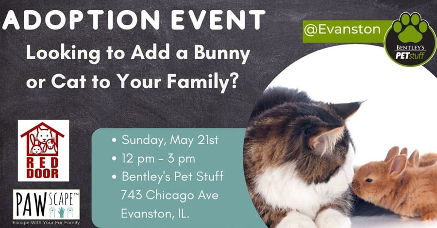 Bentley’s Pet Adoption Event with Red Door in Evanston | May 21st