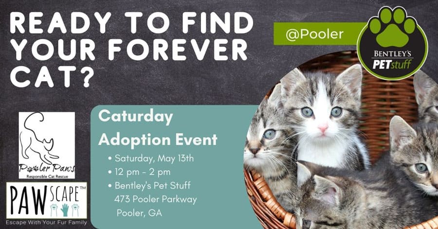 Bentley’s Pet Adoption Event with Pooler Paws Rescue | May 13th