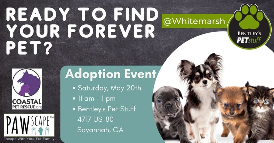 Bentley’s Pet Adoption Event with Coastal Pet Rescue | May 20th
