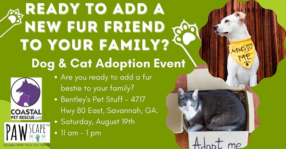 Bentley’s Pet Adoption Event with Coastal Pet Rescue | August 19th, Savannah, GA