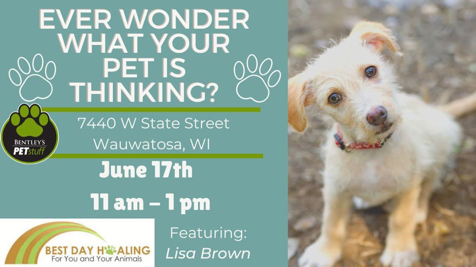 Animal Readings PAWscape™ Event | June 17th