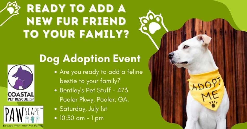 Dog Adoption Event | July 1st, Pooler, GA.