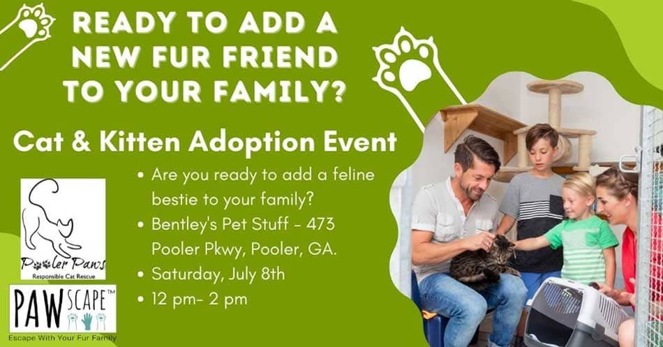 Cat and Kitten Adoption Event | July 8th, Pooler, GA.