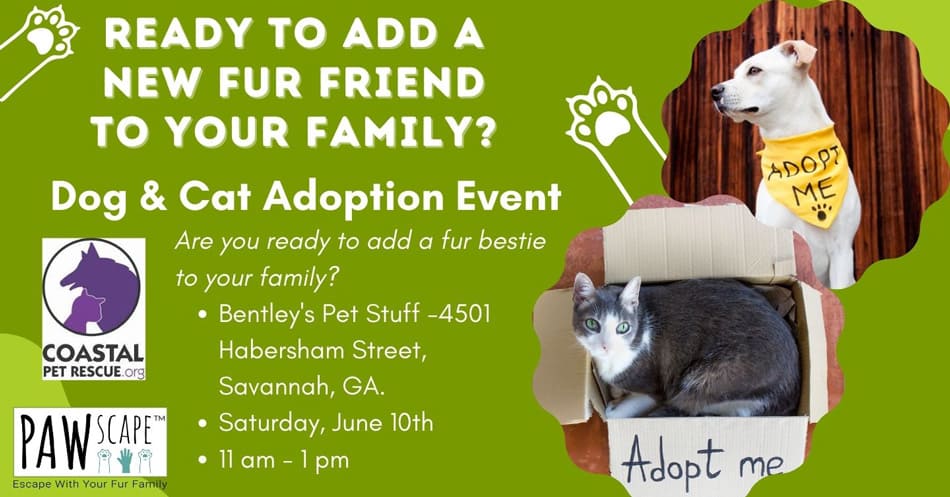 Bentley’s Pet Adoption Event with Coastal Pet Rescue | June 10th, Habersham St. Savannah, GA