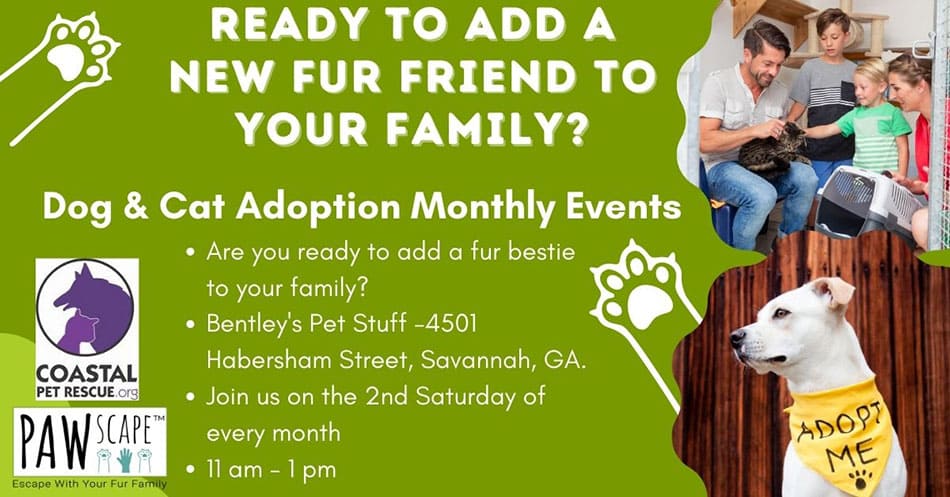 Monthly Adoption PAWscape™ Events  | Every 2nd Saturday of Month, Habersham, Savannah, GA.