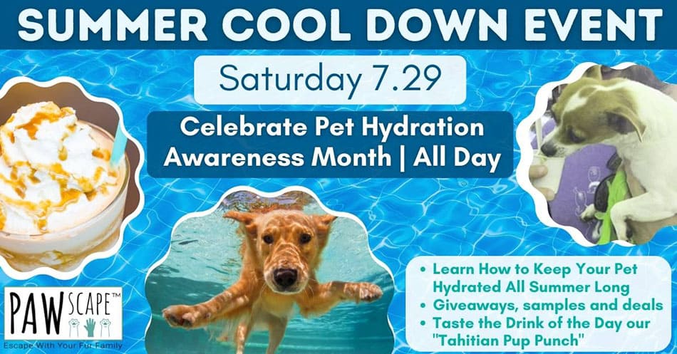 Summer Cool Down PAWscape™ Event | July 29th