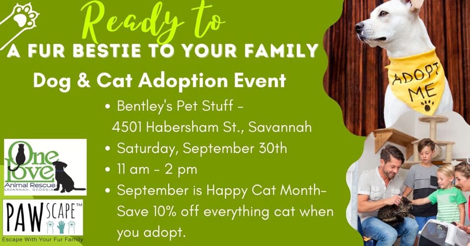 Dog and Cat Adoption PAWscape™ Event  | September 30th, Habersham, Savannah, GA.