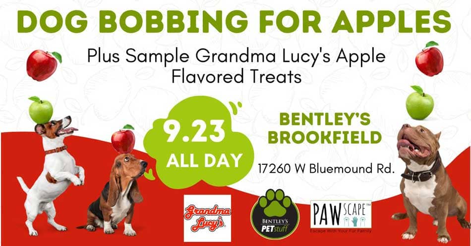 Dog Bobbing for Apples PAWscape™ Event | September 23rd, Brookfield, WI.