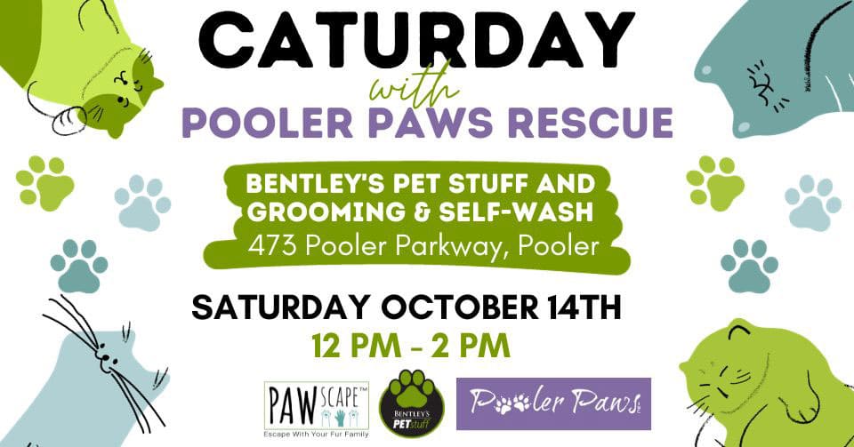 Caturday Adoption PAWscape™ Event | October 14th, Pooler, GA.