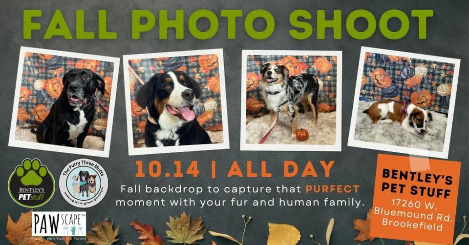 Celebrate Fall PAWscape™ Event | October 14th, Brookfield, WI.