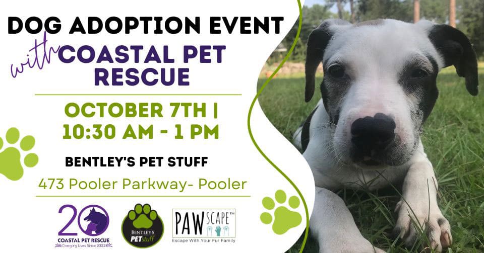 Dog Adoption PAWscape™ Event | October 7th, Pooler, GA.