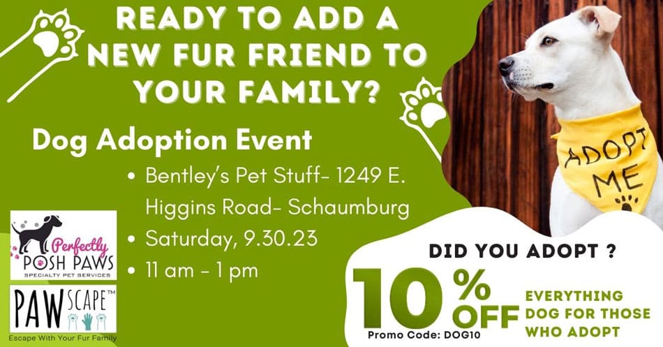 Dog Adoption PAWscape™ Event | September 30th, Schaumburg, IL.