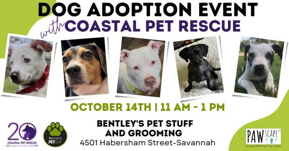 Dog Adoption PAWscape™ Event | October 14, Habersham Location, Savannah, GA.