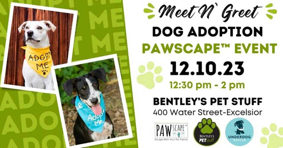 Meet & Greet Dog Adoption PAWscape™ Event | December 10th, Excelsior, MN.