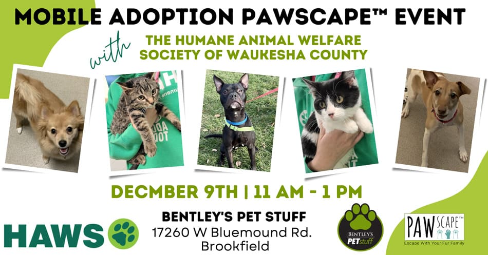 Pet Adoption PAWscape™ Event | December 9th, Brookfield, WI.