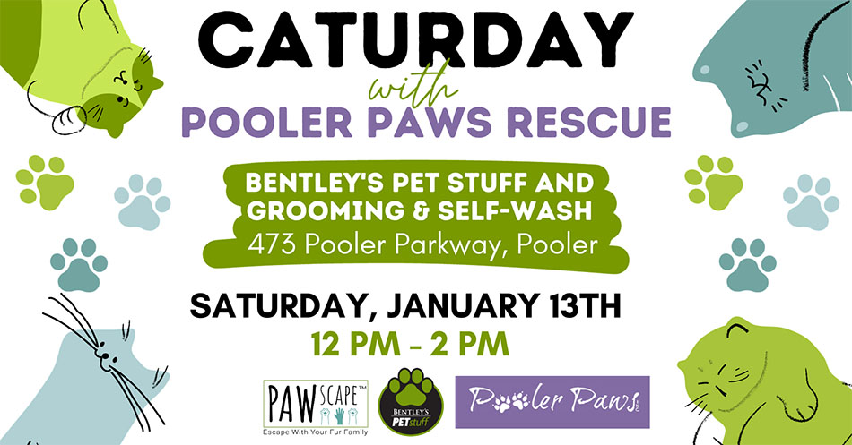 Caturday with Pooler Paws Rescue PAWscape™ Event | January 13th, Pooler, GA.