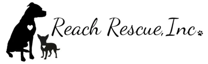 reach reascue logo