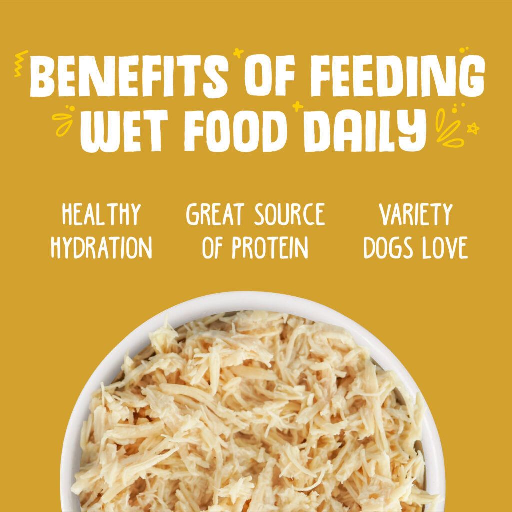 BENEFITS OF FEEDING WET FOOD DAILY FOR DOGS