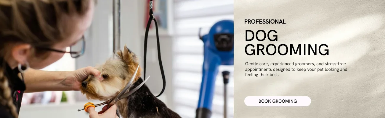 dog grooming at Bentley's Pet Stuff