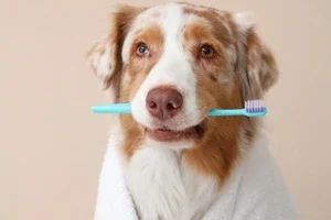 grooming add-ons